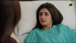 Mohra - Episode 69 - 5th December 2025